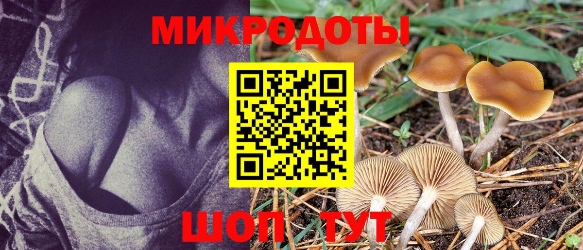 Псилоцибиновые грибы GOLDEN TEACHER Скопин